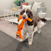 Cliff the Cat (Meow)-Rover Pet Products